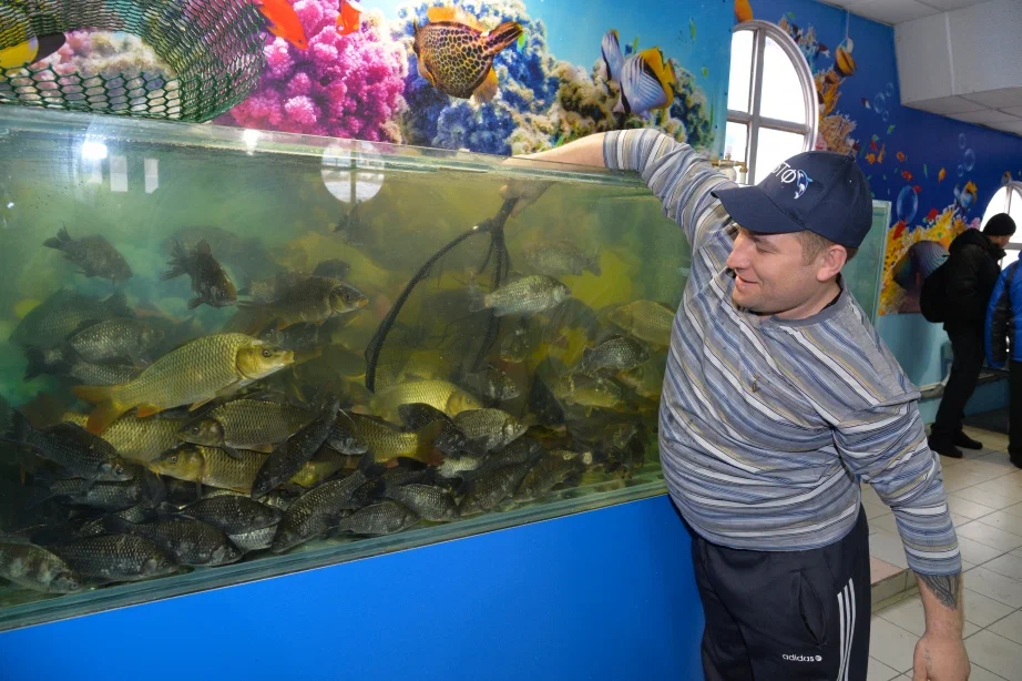 Владелец изображения: Яндекс Картинки