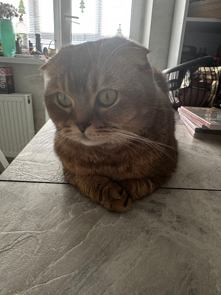 Из личного архива