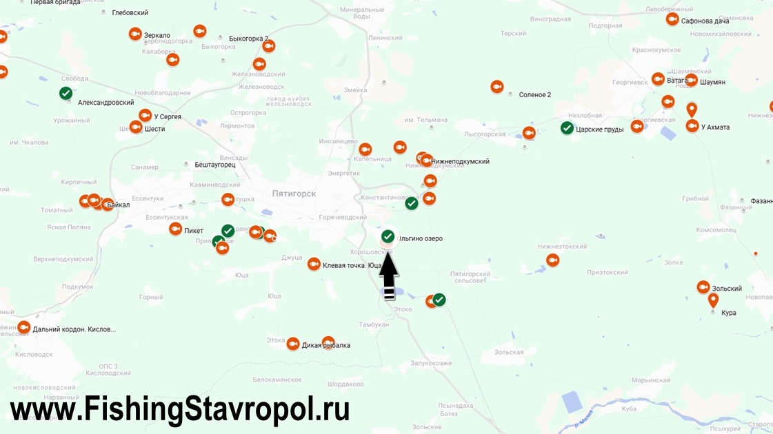 Платная рыбалка водоем "Ольгино Озеро"