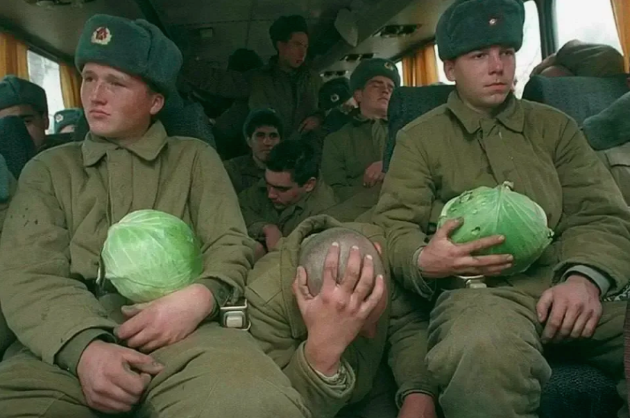 фото из интернета.