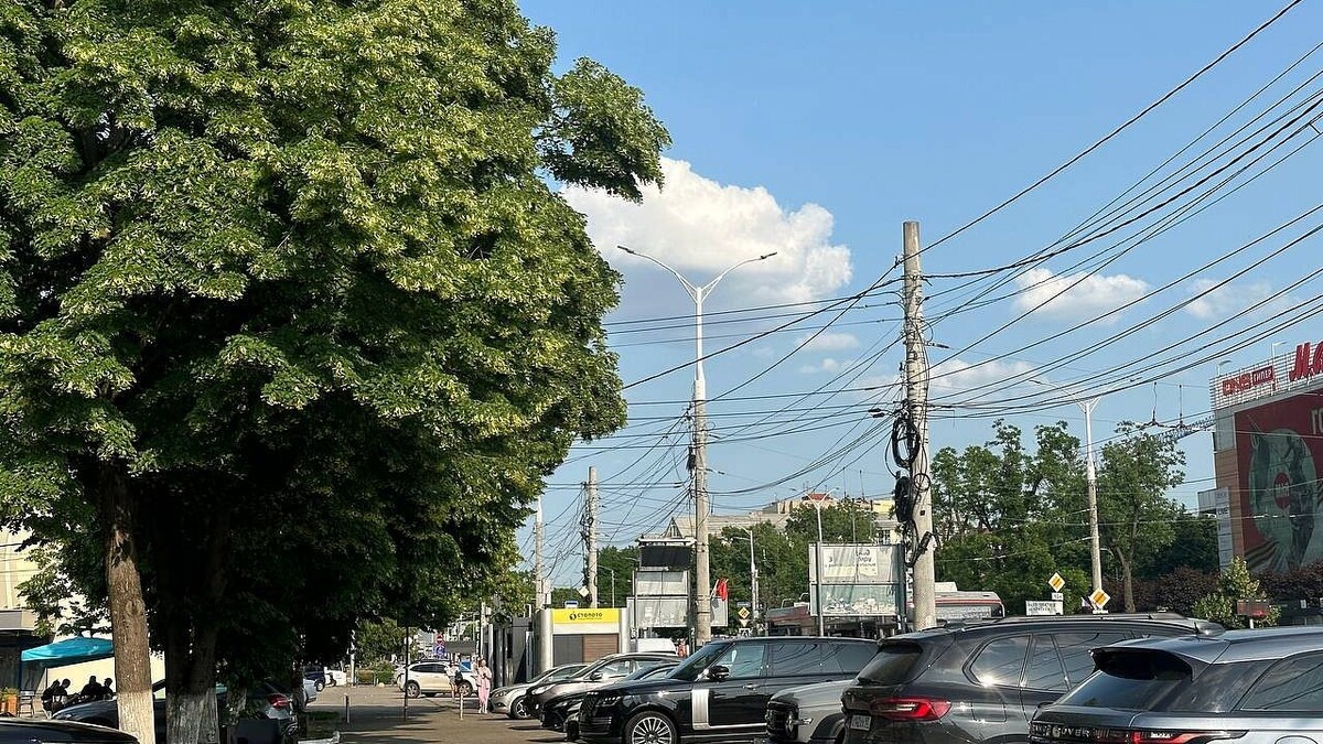    Фото: телеканал «Краснодар»