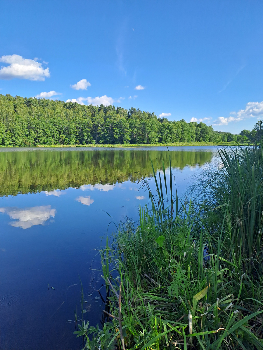 Наше любимое озеро.