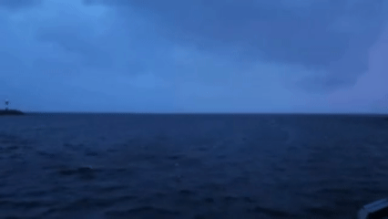    GIF: официальный канал ФКП "Дирекция КЗС г. СПб Минстроя России" (Дамба Санкт-Петербурга)