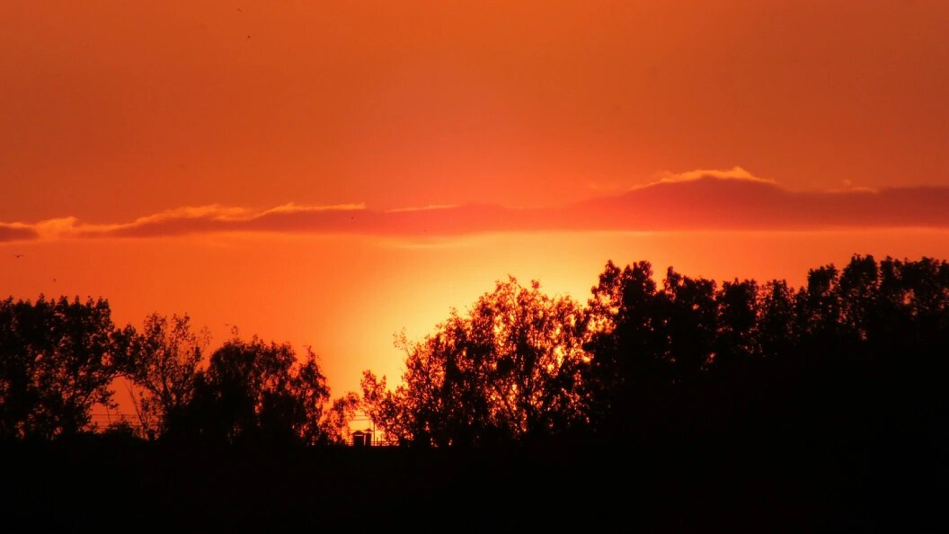    Фото: Victor Lisitsyn, Виктор Л/Globallookpress
