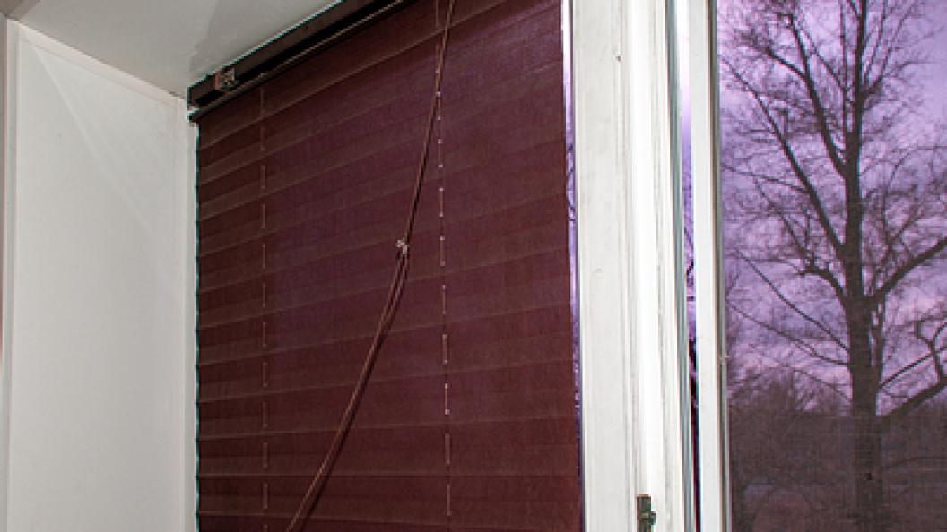    Svetlana Vozmilova/Globallookpress