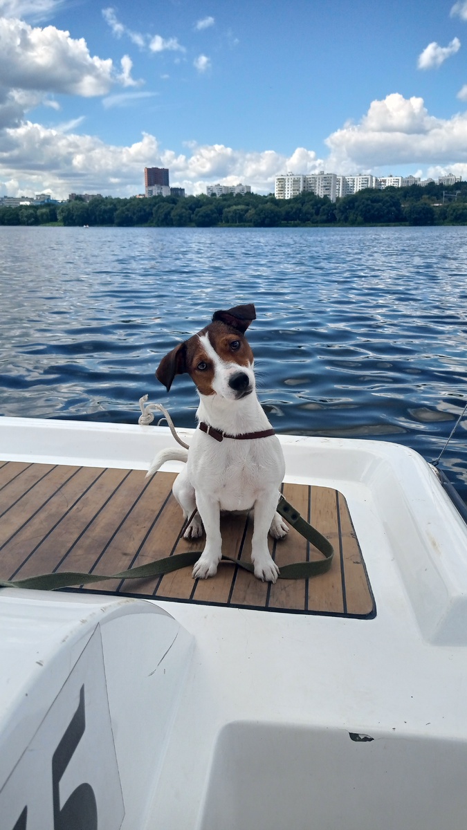 Рози позирует)