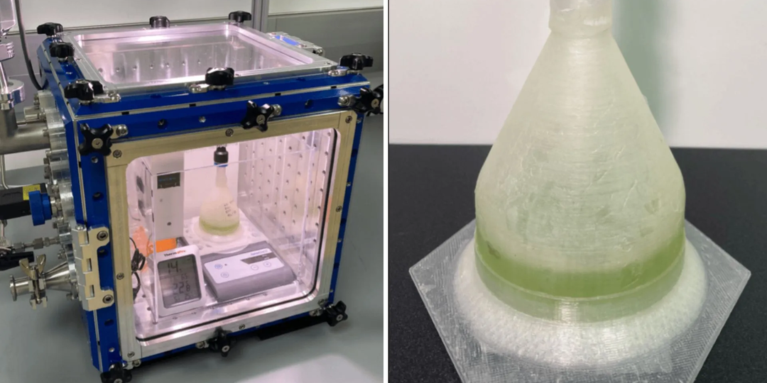 Водоросли на Марсе: шаг к зелёным оазисам на Красной планете