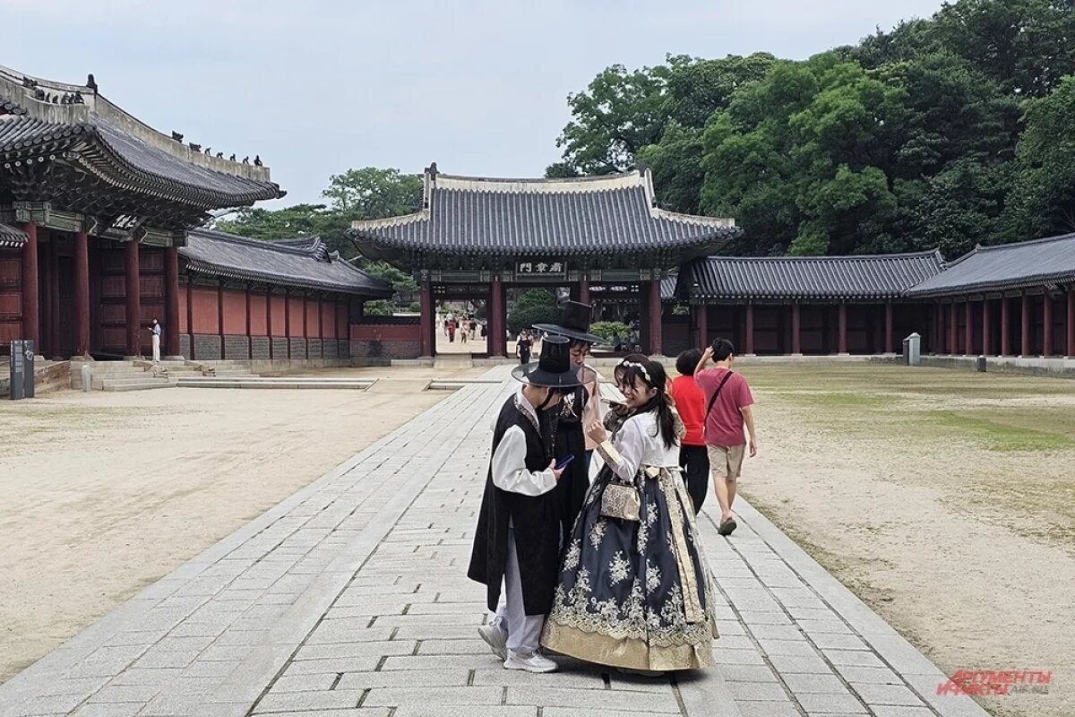    Через пятьдесят лет половина населения Южной Кореи будет в возрасте за 65.