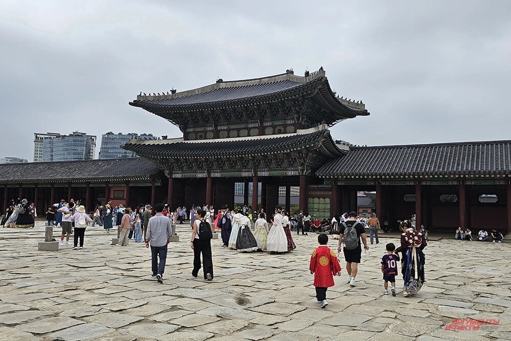    Фото: АиФ/ Георгий Зотов