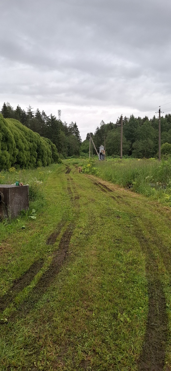 Распаханный въезд. А ещё утром я с большим удовольствие выкосил газонокосилкой въезд и радостно смотрел на аккуратно выстриженную травку