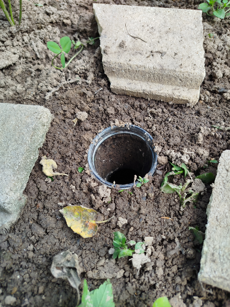 Ловушка для слизней. Банка, на дне которой налито пиво.