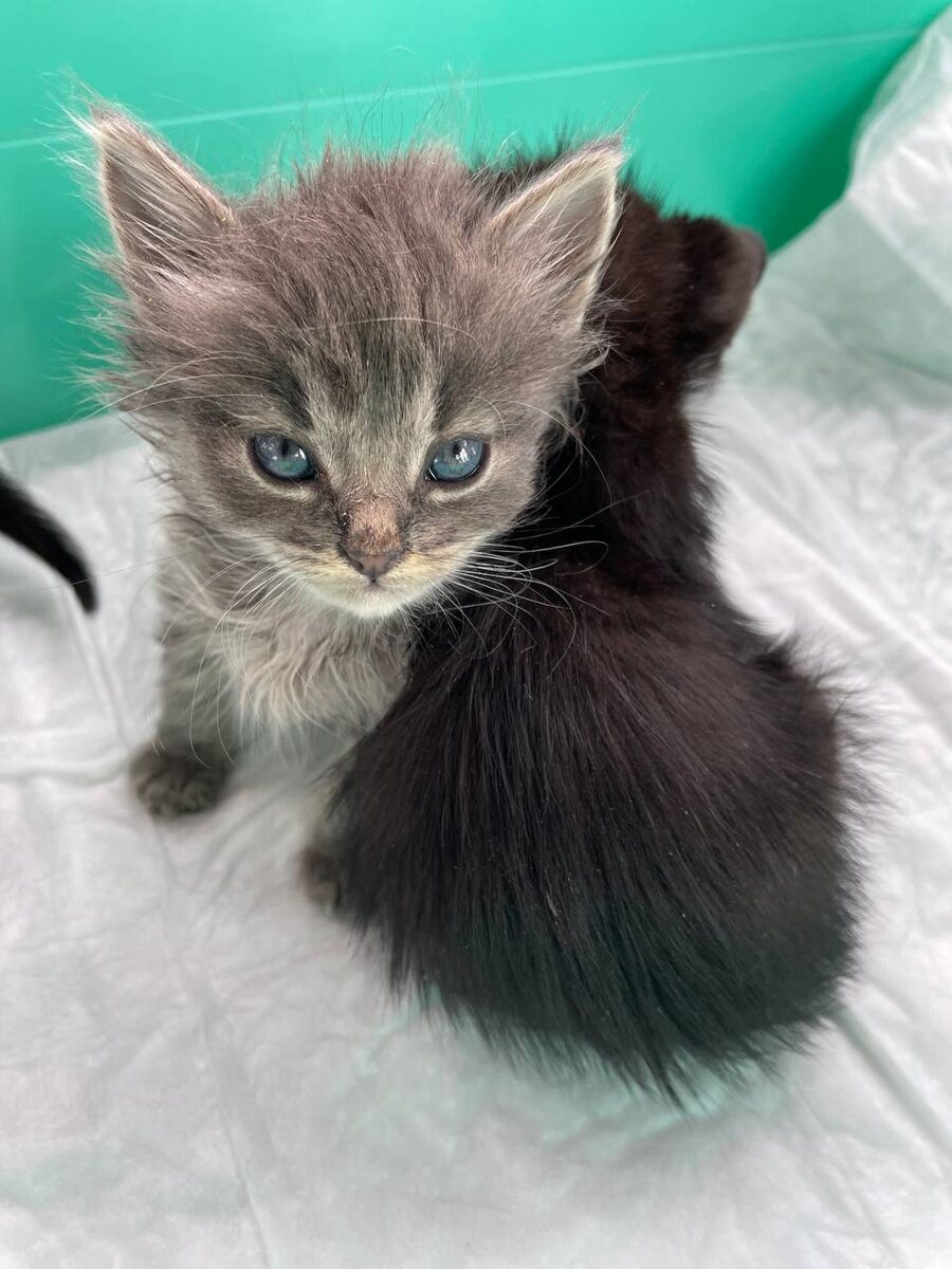 Дерзко смотрят жизни прямо в лицо. Фото из архива автора