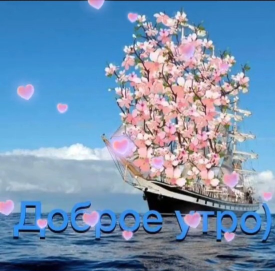 Скрин сделан автором статьи 