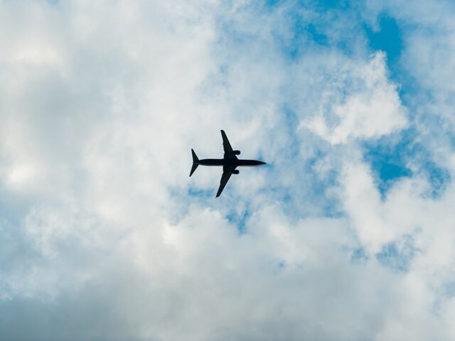    Фото: 123RF/ruslanshramko