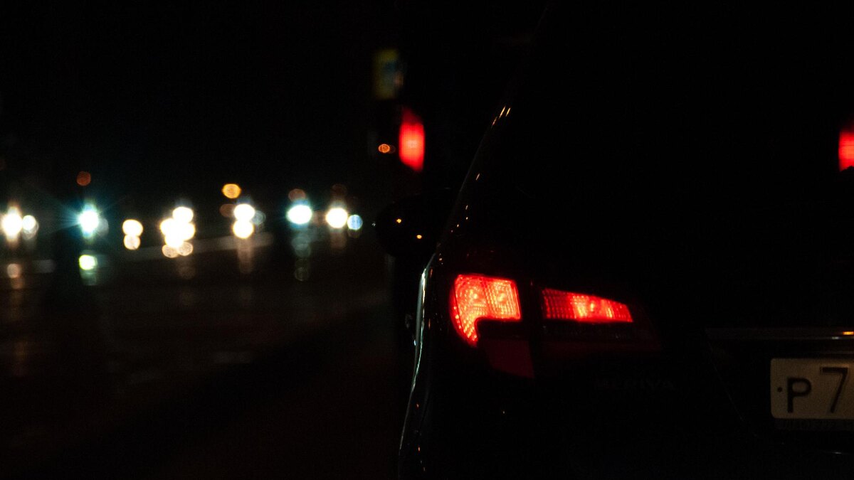    Фото: Svetlana Vozmilova/Global Look Press