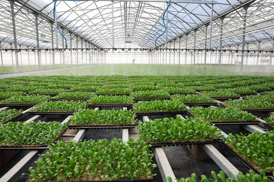    Фото: администрация Волгоградской области