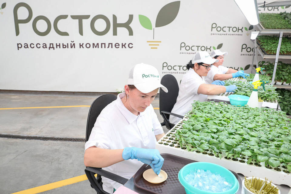    Фото: администрация Волгоградской области