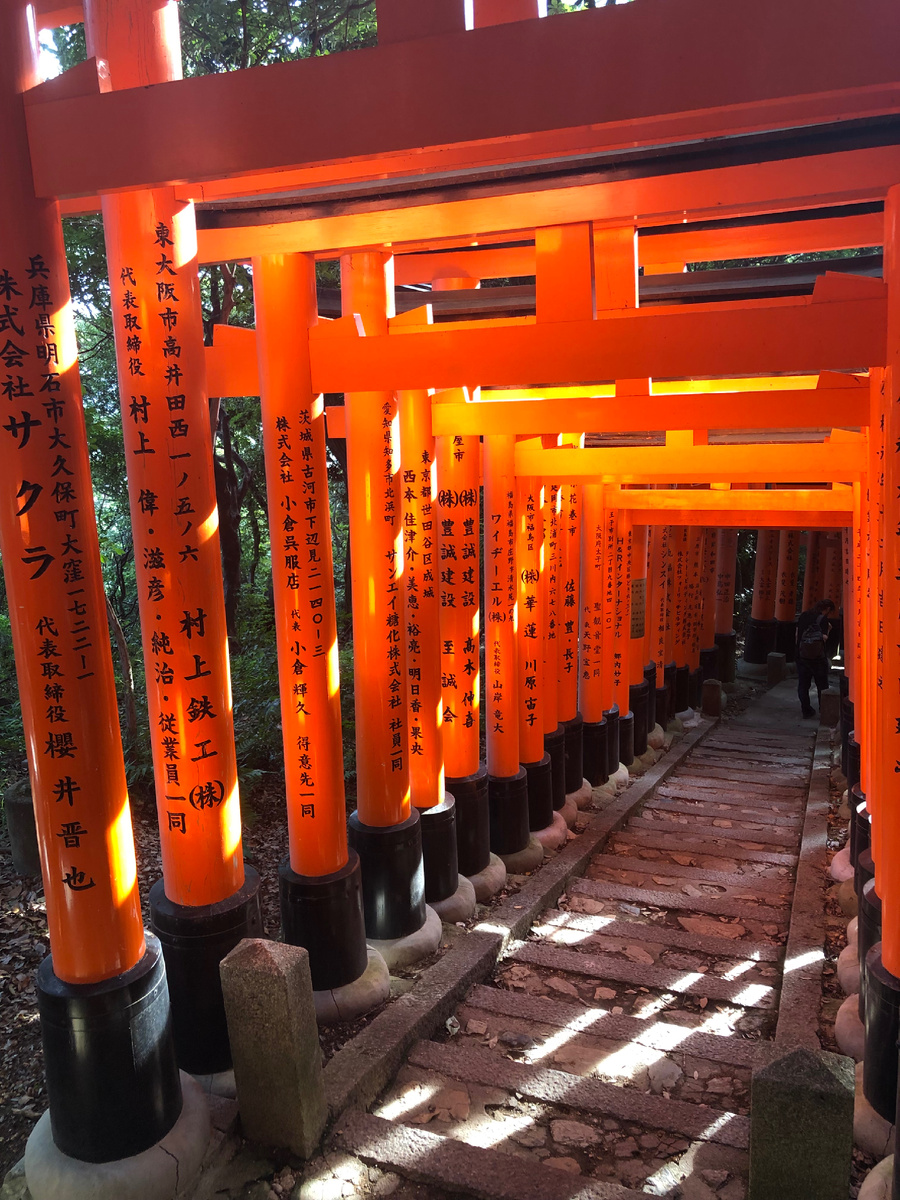 Остальная часть пути (на гору, с горы, вокруг горы) выглядит как то так