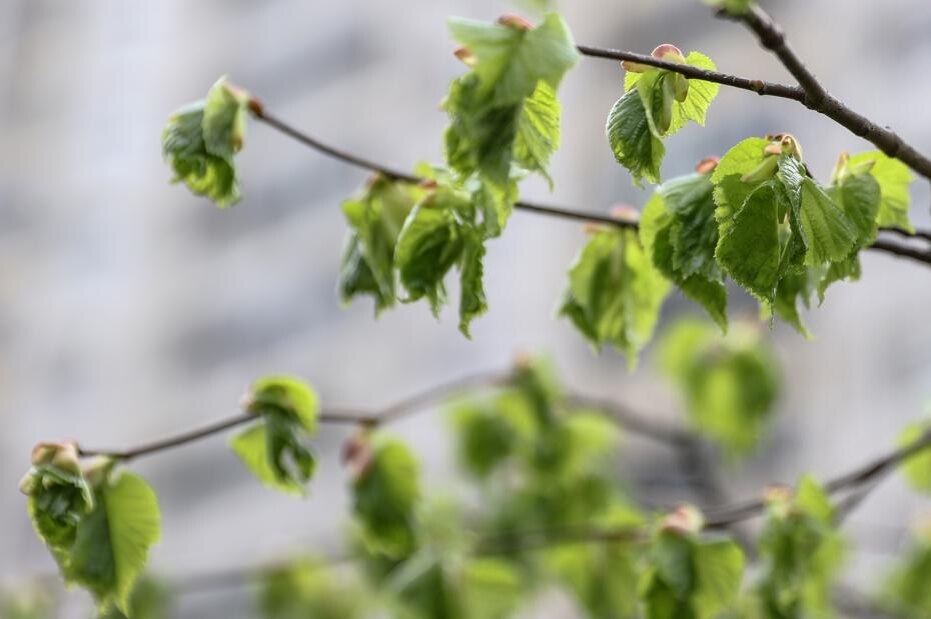    Сергей Булкин/NEWS.ru