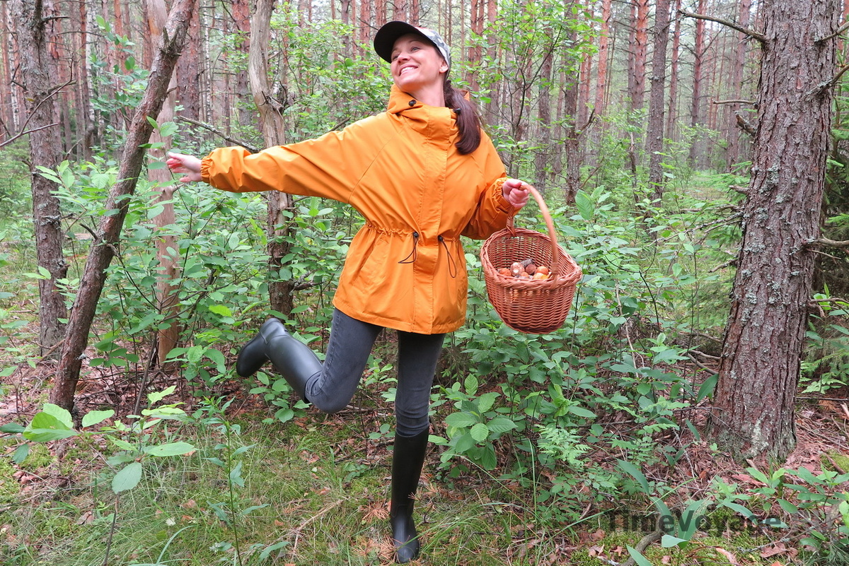 Грибы в Подмосковье