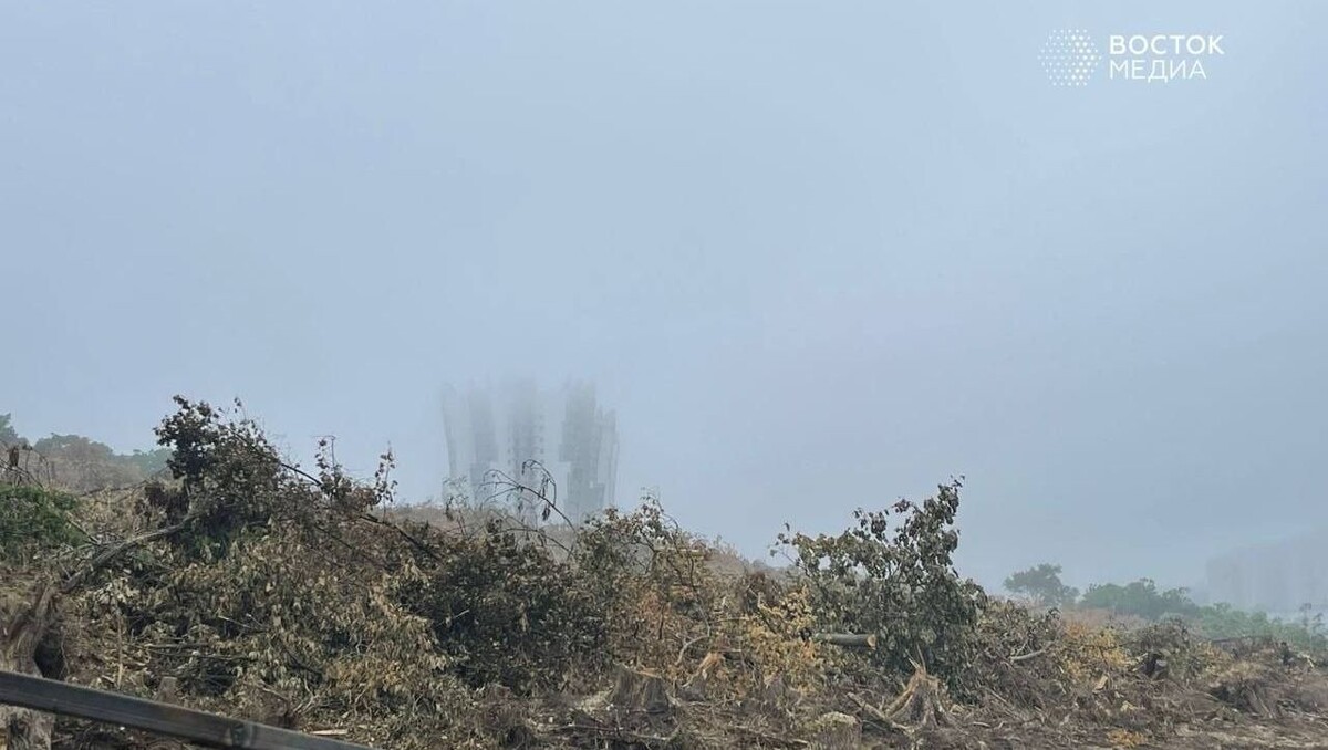     Источник: vostokmedia.com