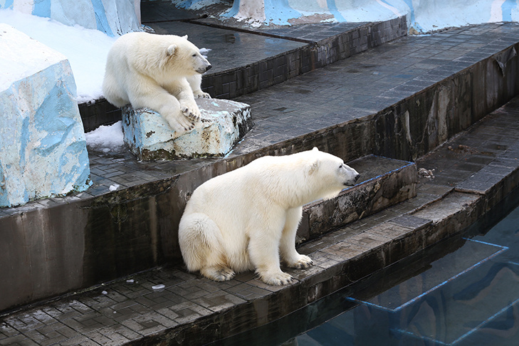    Фото из архива VN.ru