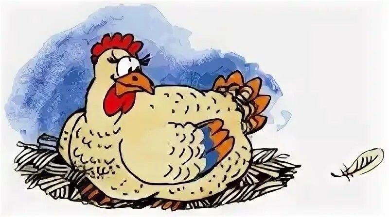 Картинка из открытых источников сети Интернет 