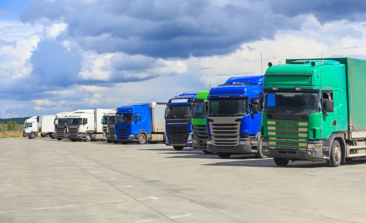 Фото: © Юрий Бизгаймер / Фотобанк Лори