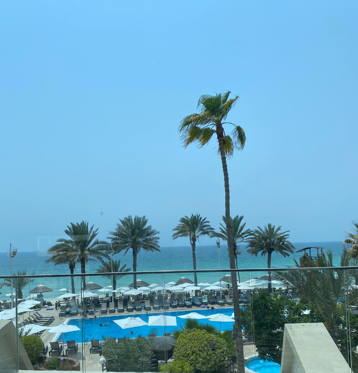 Вид из холла отеля