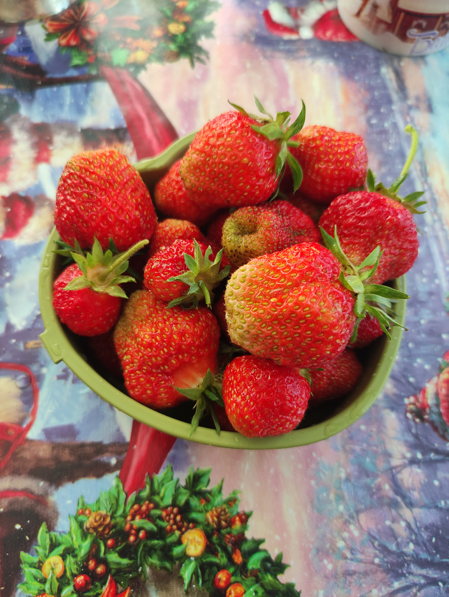 Своя клубника)) самая ароматная)) 