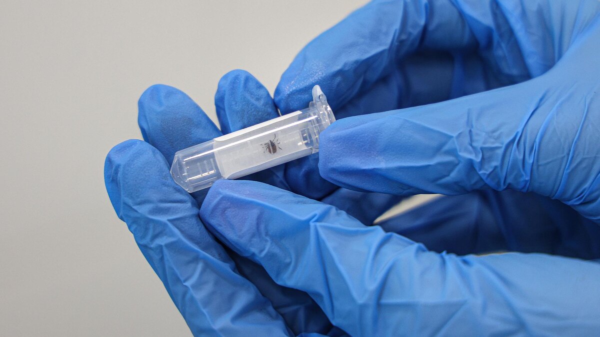    Фото: Andrey Titov/Business Online