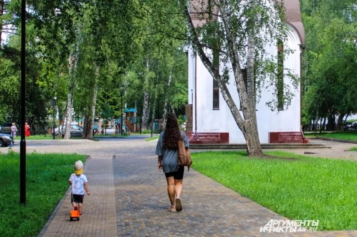    Температура воздуха поднимется до +31 градуса в пятницу в Томске