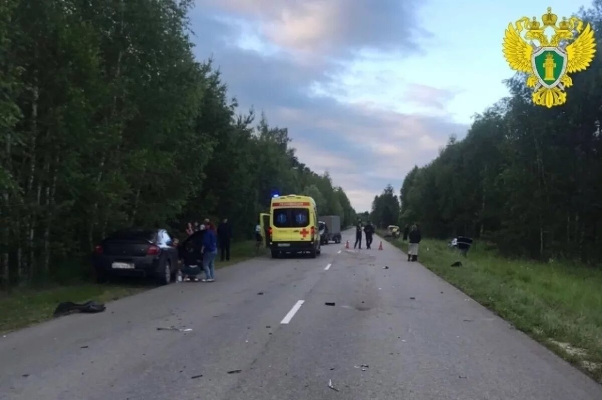    13-летнего мальчика сбила машина рядом с Леонидовкой в Пензенском районе