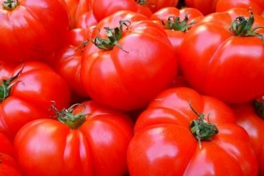 Простая смесь из ведра: как укрепить томаты и забыть о гнили  📷
