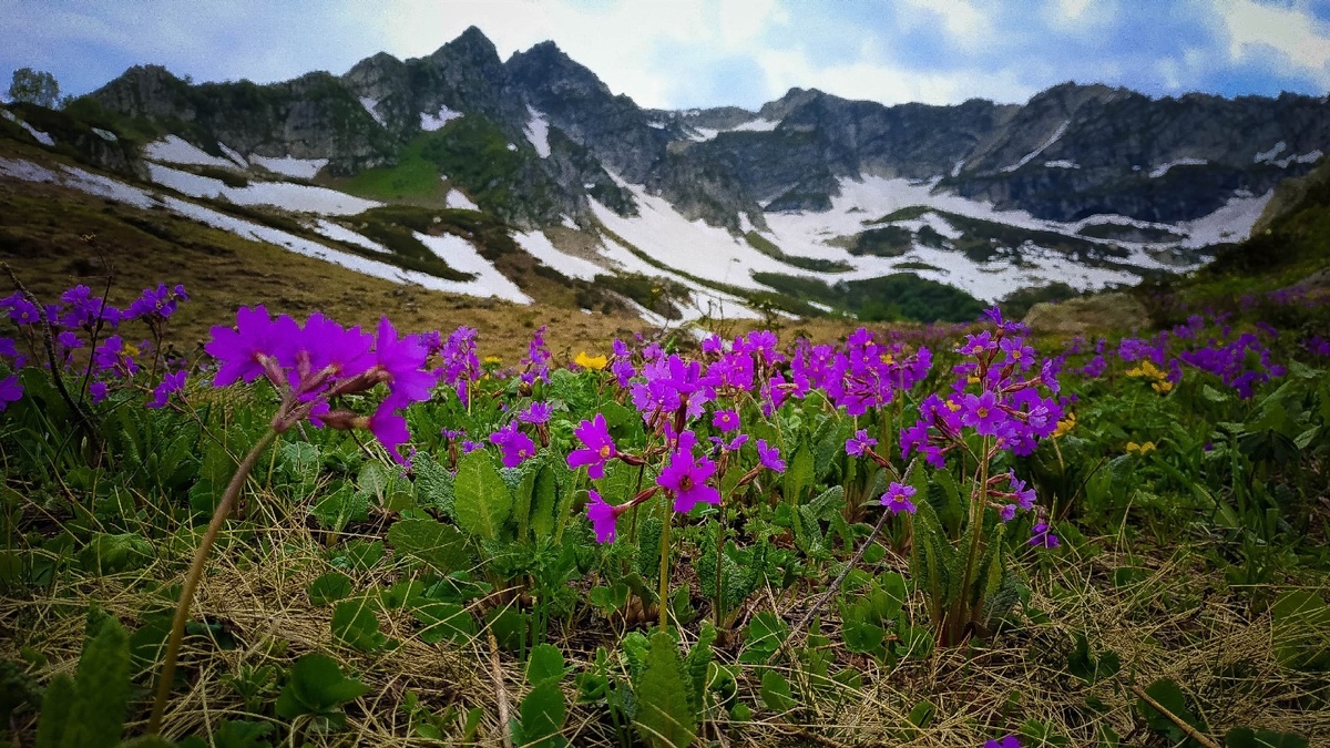 Фото: Станислав Шахов. 