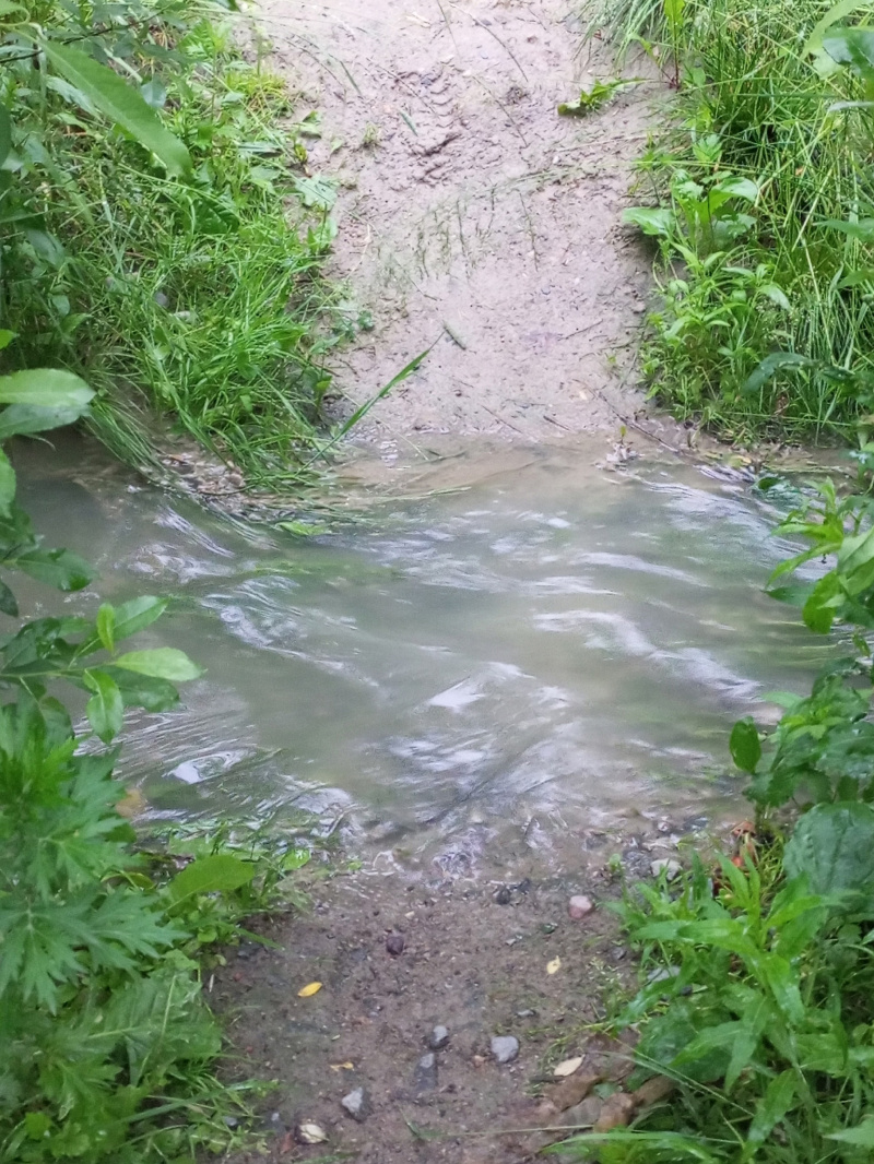    Зловонная жидкость из канализации заливает проезд в Петрозаводскепаблик «Подслушано в ПТЗ»