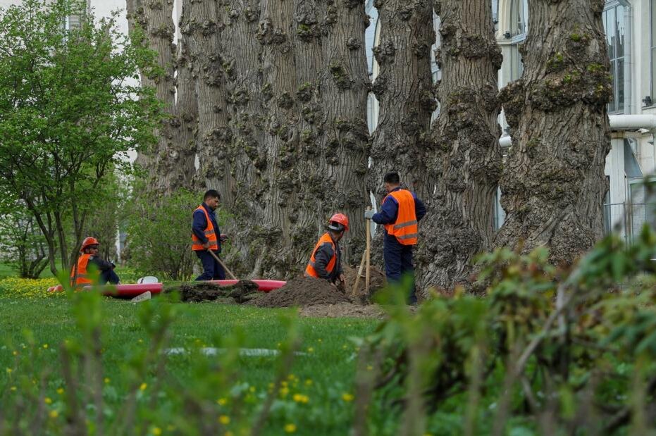    Наталья Шатохина/NEWS.ru