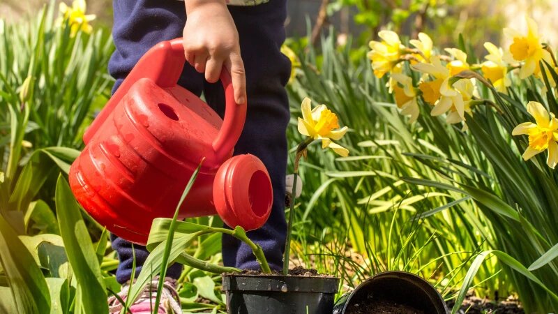     Цветник и лейка. freepik.com/pvproductions