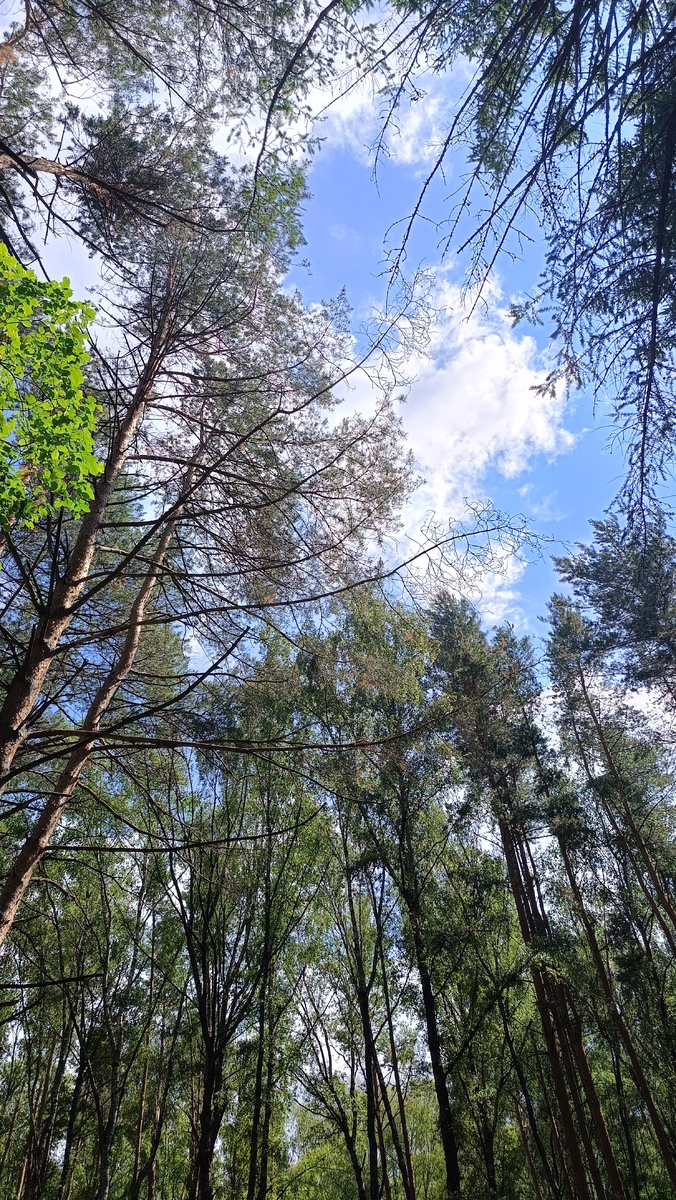 Фото из личного архива автора канала Во благо ❤️