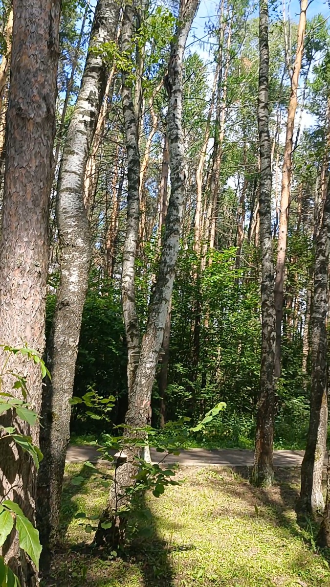 Фото из личного архива автора канала Во благо ❤️