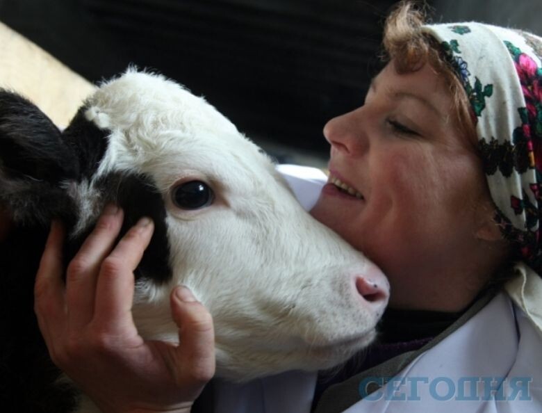 Фото из интернета. Хозяйка-крепкий орешек.