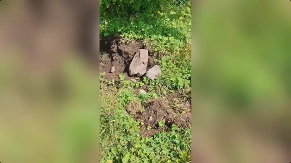    Следы активности медведя у кордона Байгазан. Источник: t.me/altzap