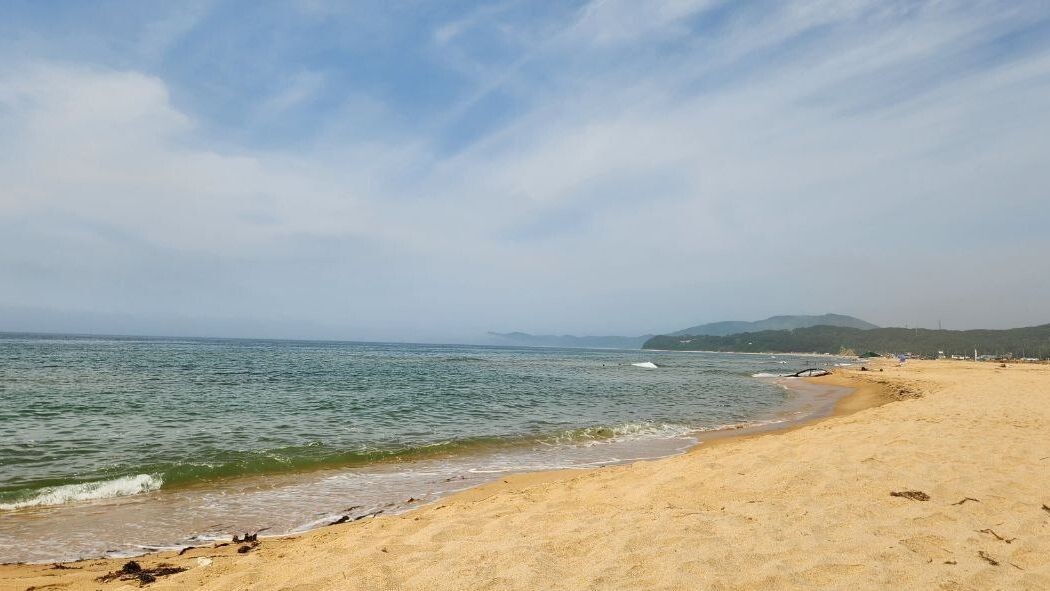     Источник: Погода 25 регион