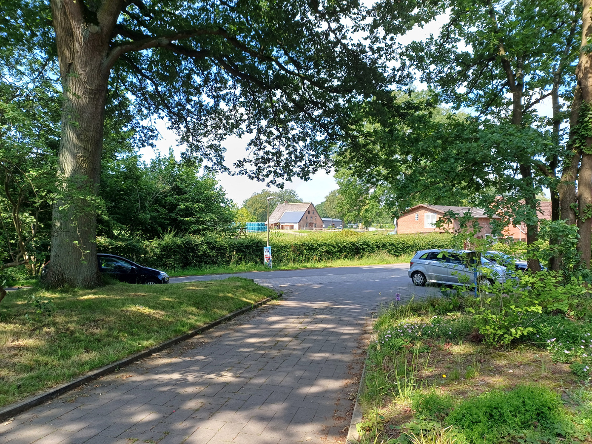 Парковка перед зданием школы. 