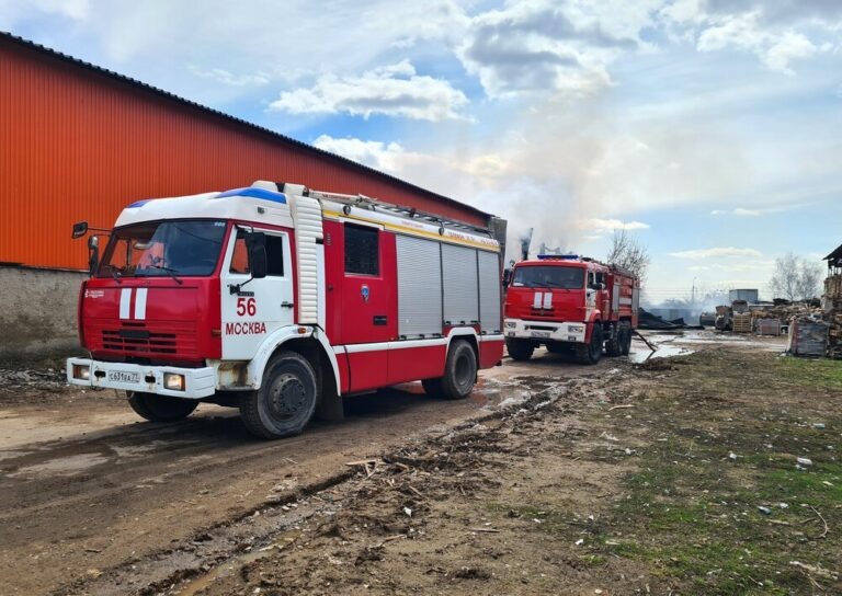    Фото: Агентство «Москва»/Мобильный репортер Анфиса Слепцова