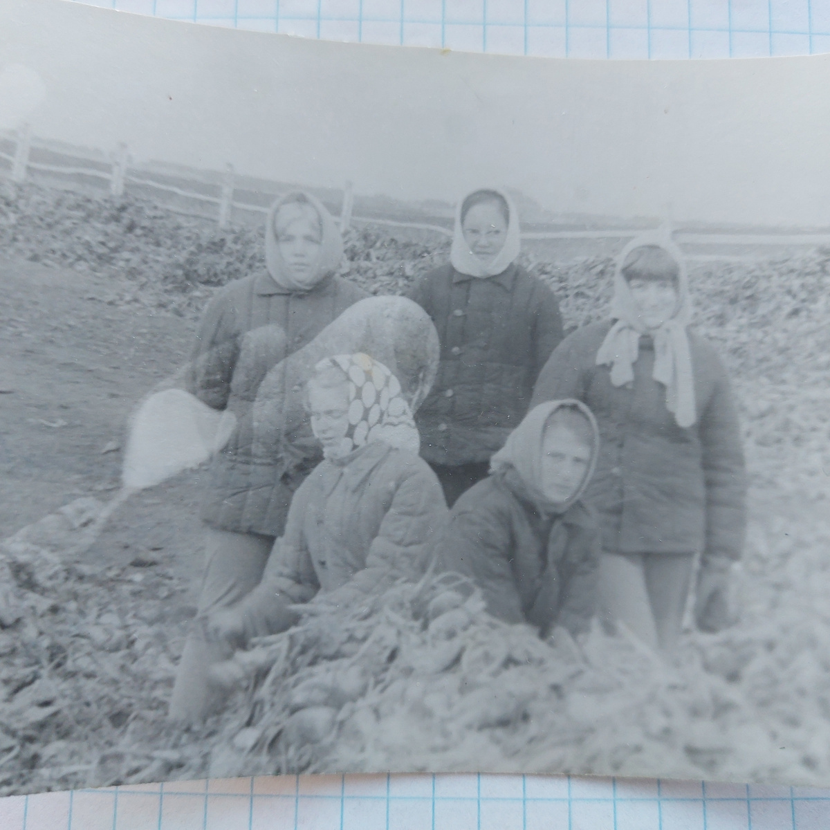 А волосы у меня тут уже совсем хорошо так отросли и я в платке! Сижу у кучи свеклы сахарной в какой-то куртяшке. Да тогда даже и одежды много у нас не было. Времена... Приехали их колхоза  и я сразу пошла в третью поликлинику, и меня поставили на учет, и стала я ... хроником. Но худо-бедно выкарабкивалась постепенно.