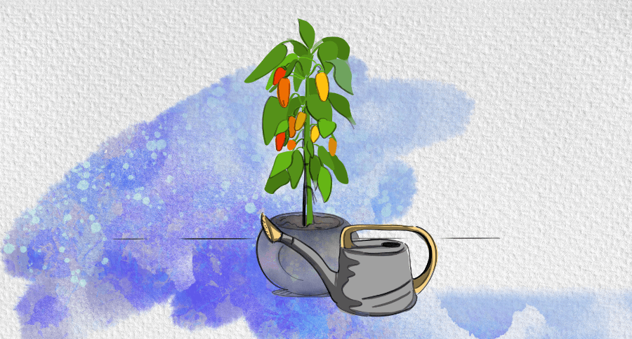 Иллюстрация: Юлия Замжицкая 
