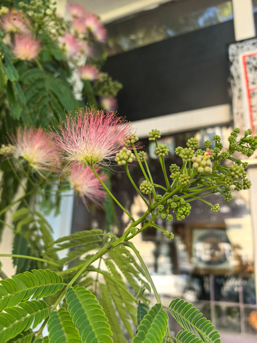 Фото сделано 21 июня 2025