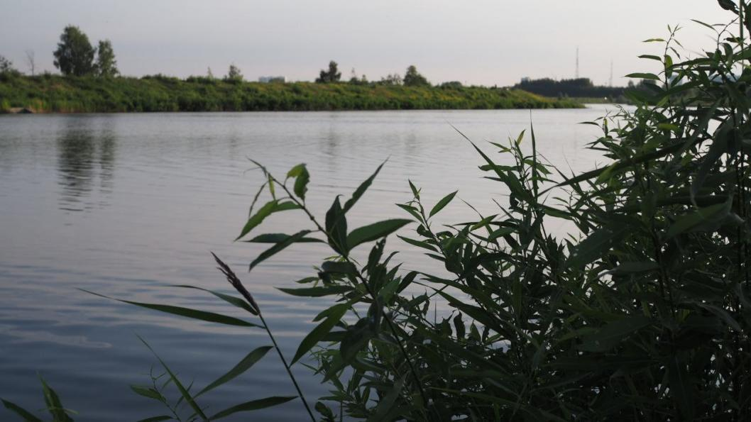 Фото: Инна Пахомова, ИА "Тюменская линия"