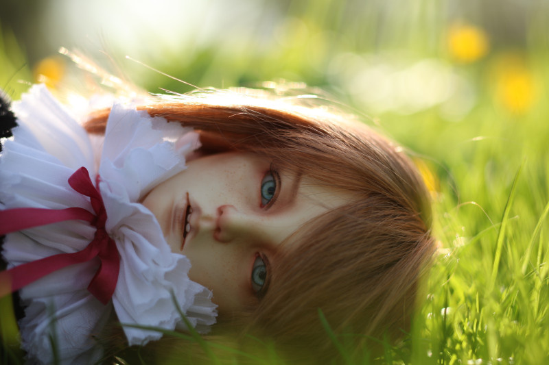 фотография из интернета